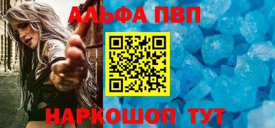 СК Кингисепп
