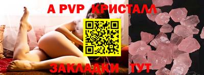 СК Кингисепп