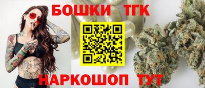 СК Кингисепп
