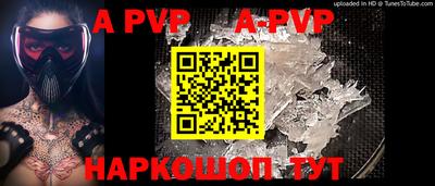 СК Кингисепп