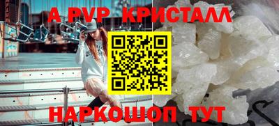 СК Кингисепп