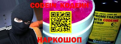 СК Кингисепп