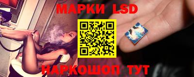 СК Кингисепп