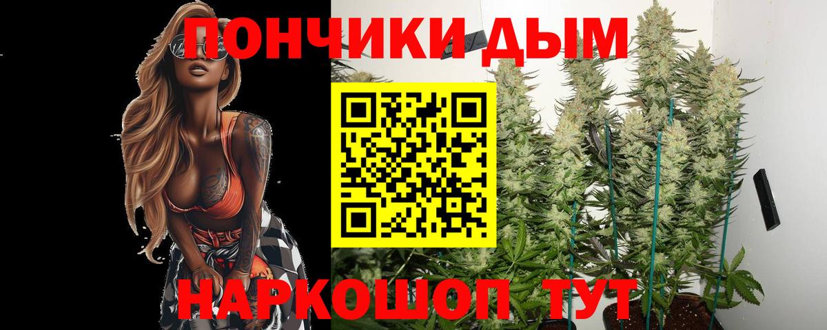 Каннабис план Северск